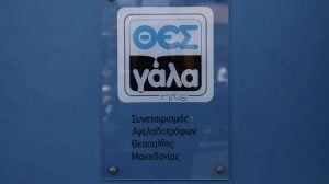 ΘΕΣγάλα συν